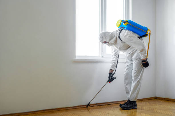 Best Pest Removal Services  in Ambler, PA