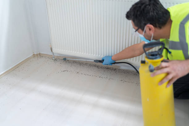 Best Cockroach Control Services  in Ambler, PA